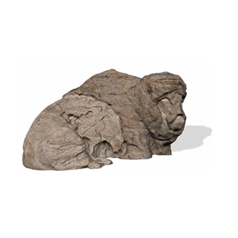 Bison