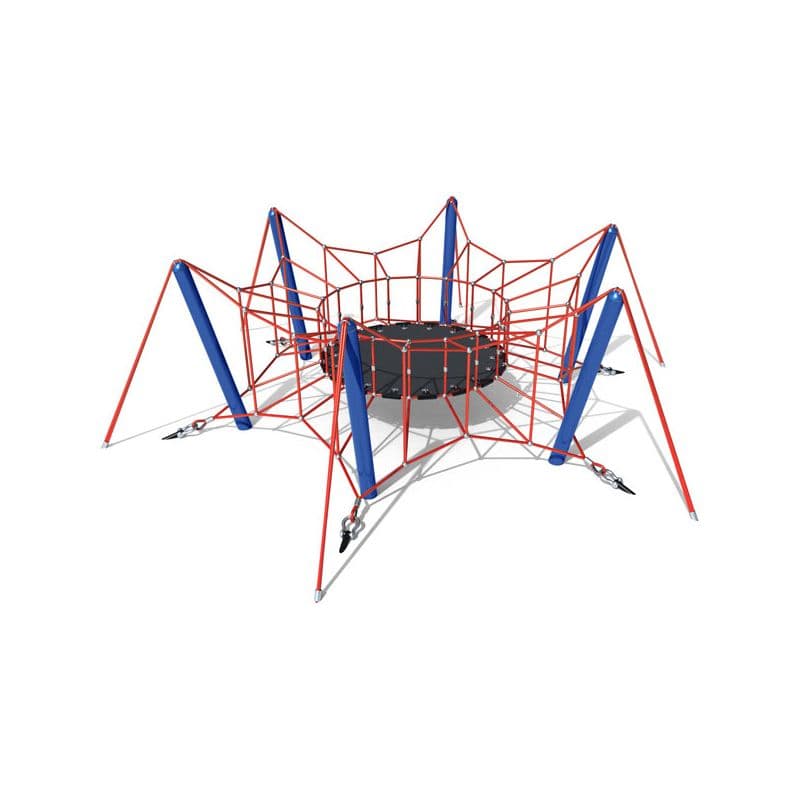 Spider regular