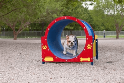 Dog Park vs Off-Leash Area: What’s the Difference? (And What Gets Approved Faster)