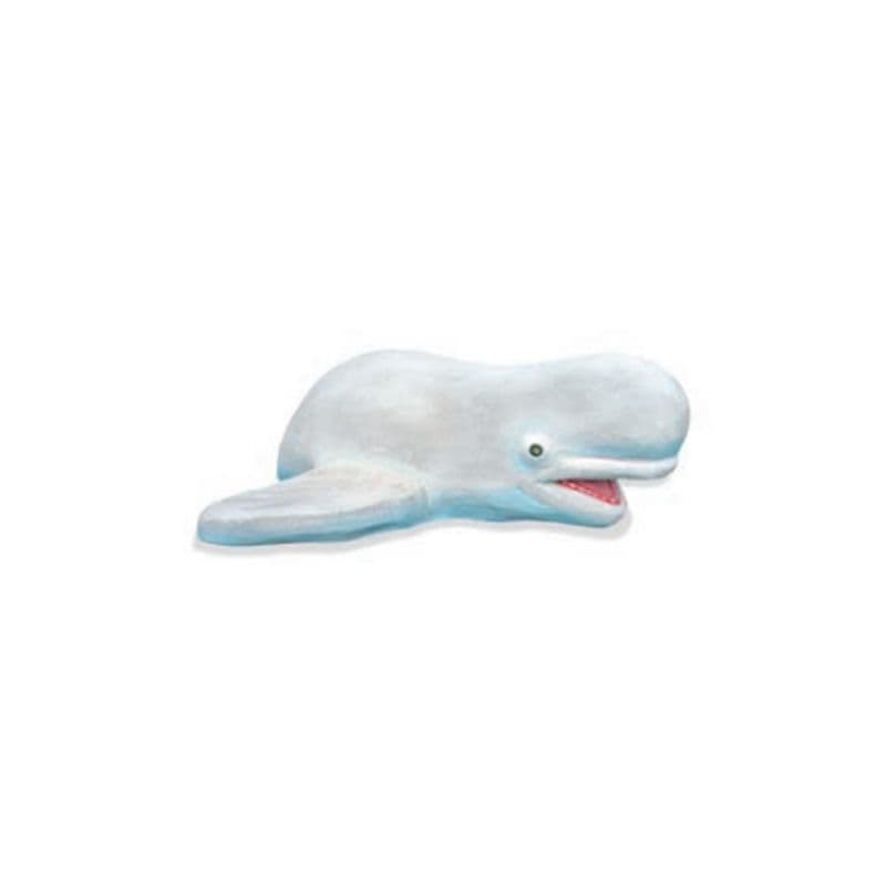 Beluga